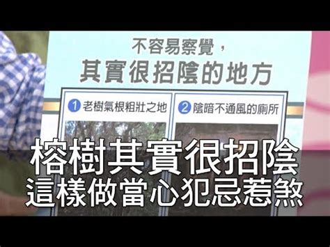 榕樹招陰|榕樹禁忌大全：台灣民間習俗的秘辛 